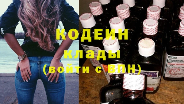 индика Володарск