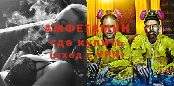 индика Володарск