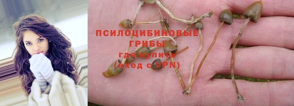ешки Верея