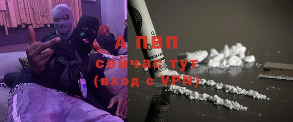 индика Володарск