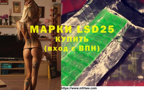 индика Володарск