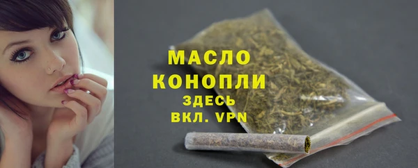 индика Володарск