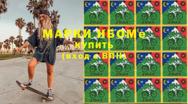 индика Володарск