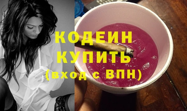 индика Володарск