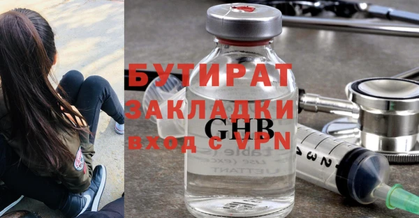 индика Володарск