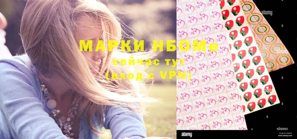 индика Володарск