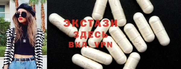 индика Володарск