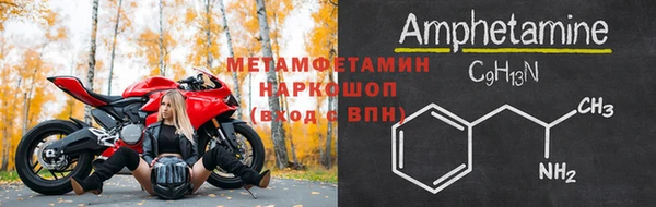 индика Володарск