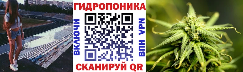 Каннабис Amnesia  что такое   Вытегра 